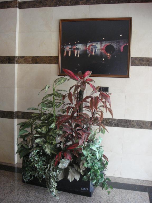 פלנסיה Hostal Serpol מראה חיצוני תמונה